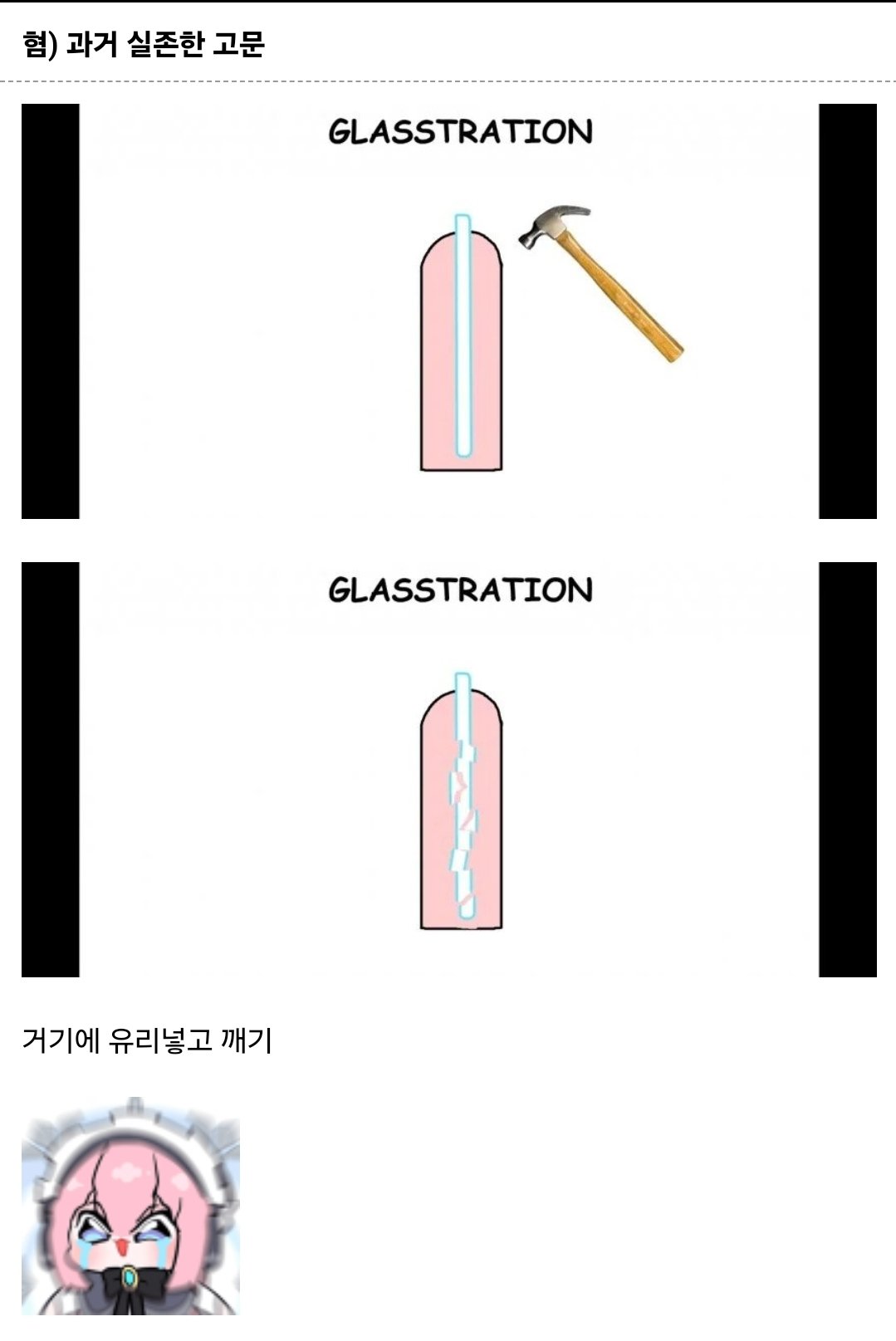 혐) 과거 실존했던 고문
