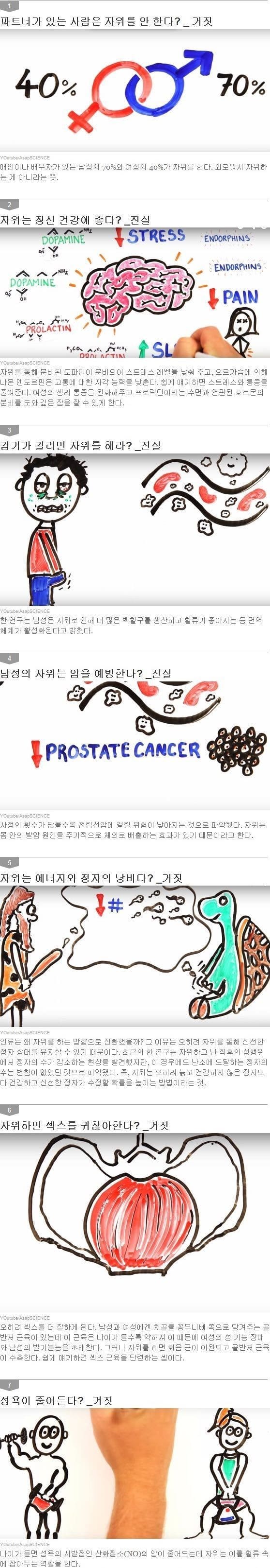 자위에 관한 진실