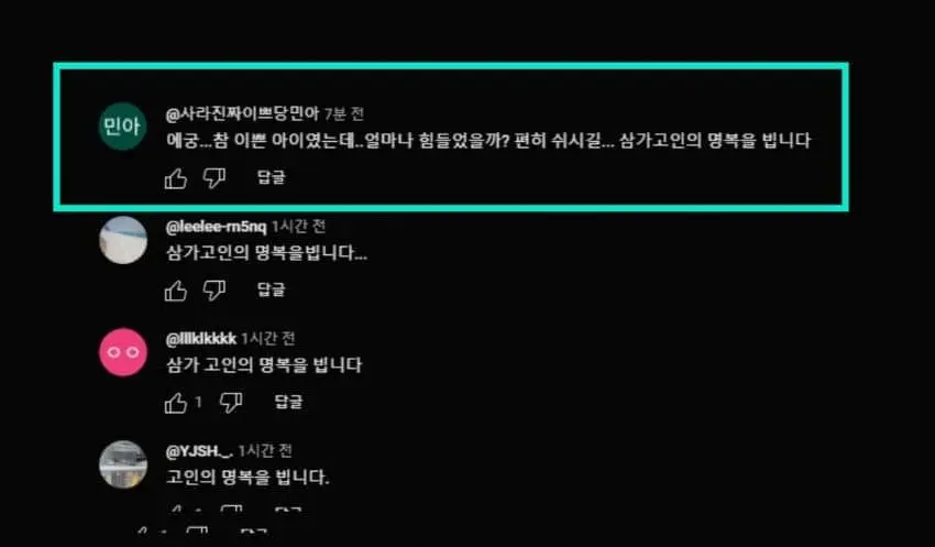 김새론 유튜브 댓글 레전드