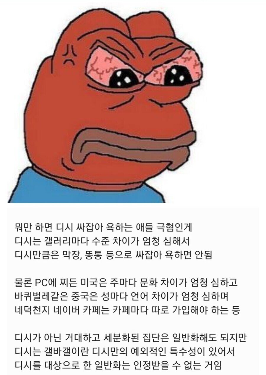 뭐만 하면 디시 싸잡아 욕하는 애들 극혐이다