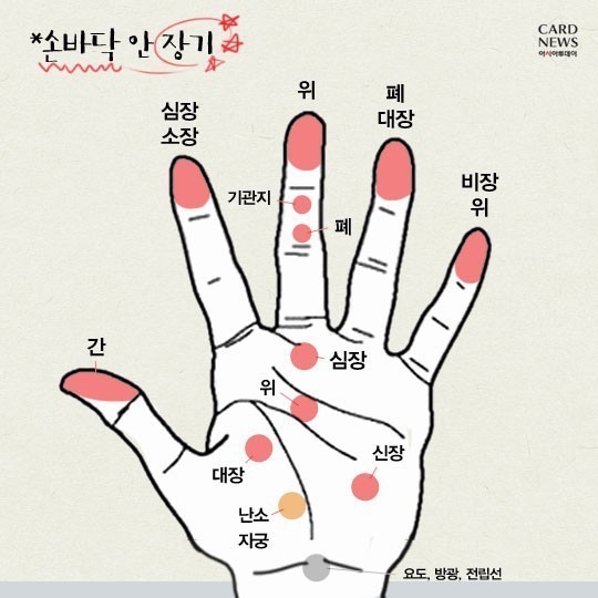 증상별 손 마사지 지압법