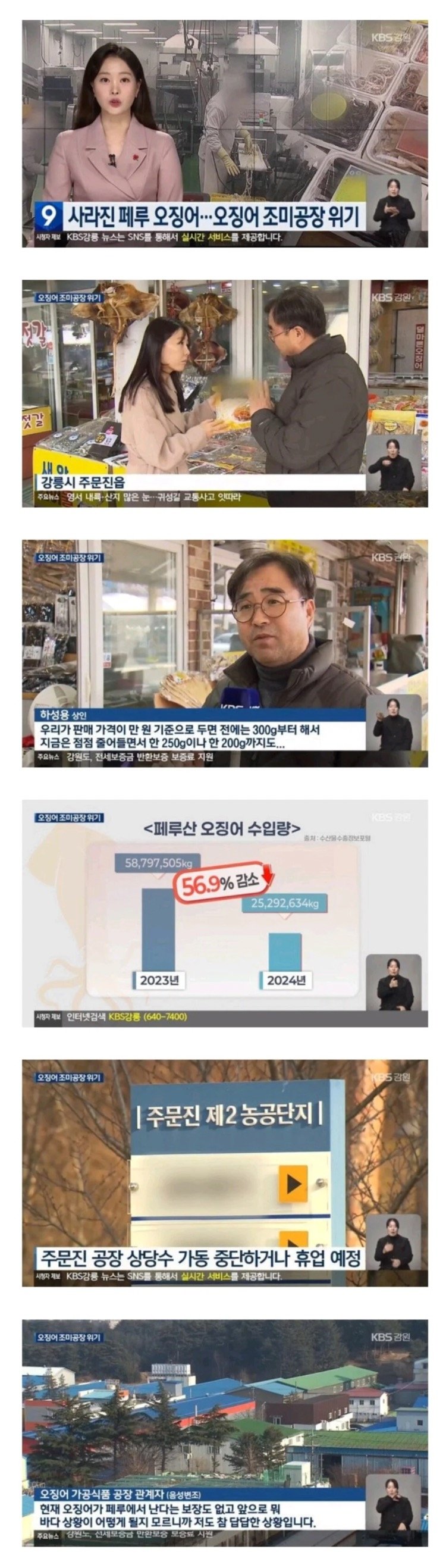 난리난 전세계 오징어 근황