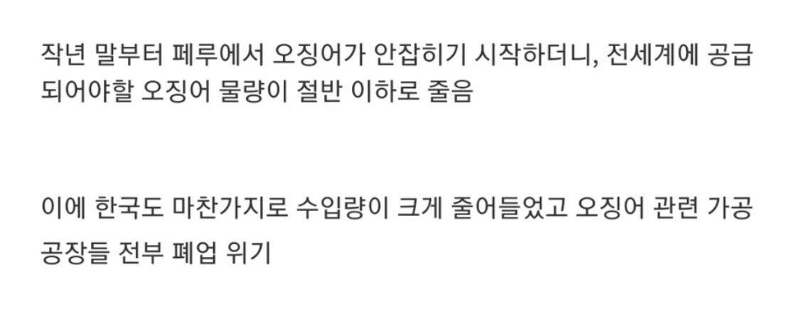 난리난 전세계 오징어 근황
