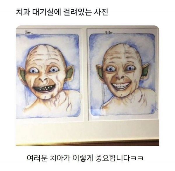 치아의 중요성