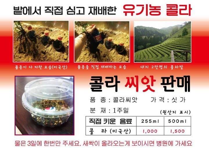 콜라 싸게 먹는법.jpg