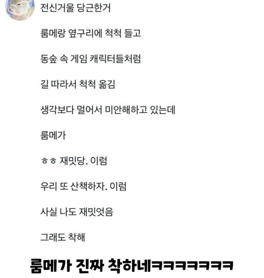 20대 전신거울 당근 후기