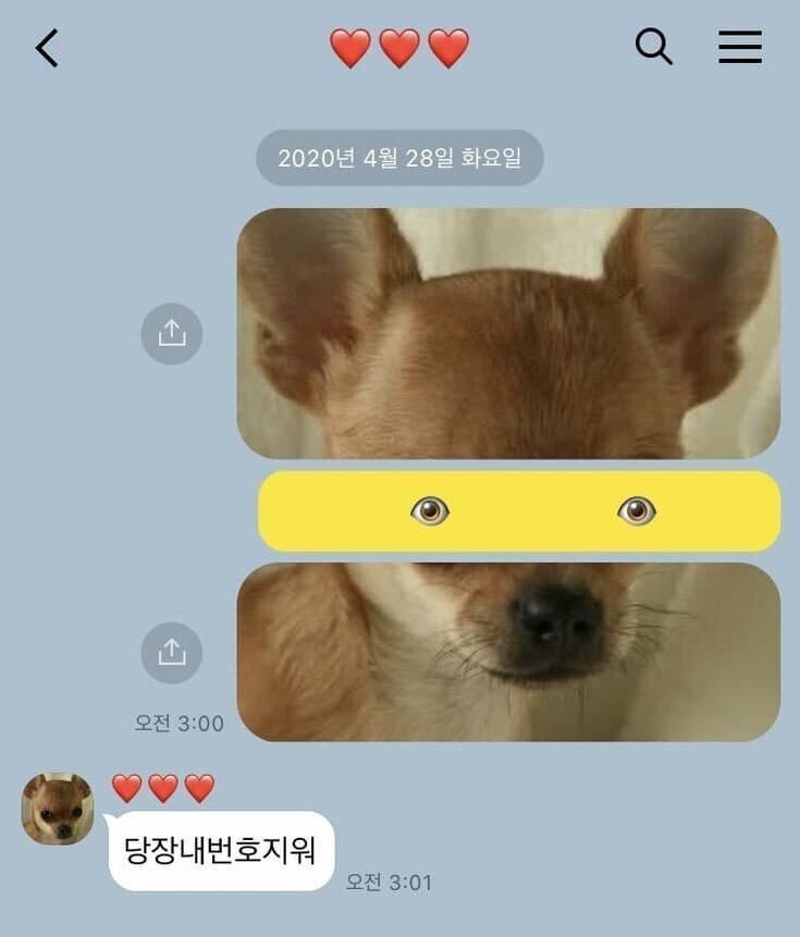 헤어진 여자친구에게 보낸 마지막 카톡.jpg
