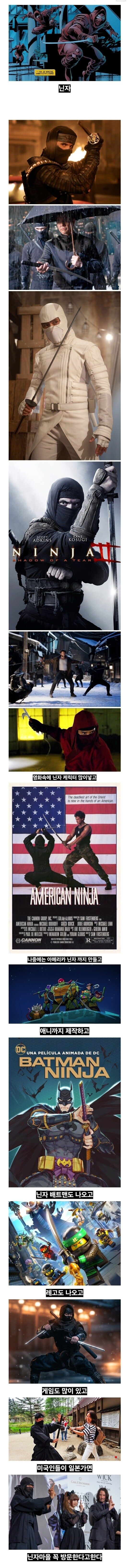 닌자라는 문화에 미쳐있는 미국