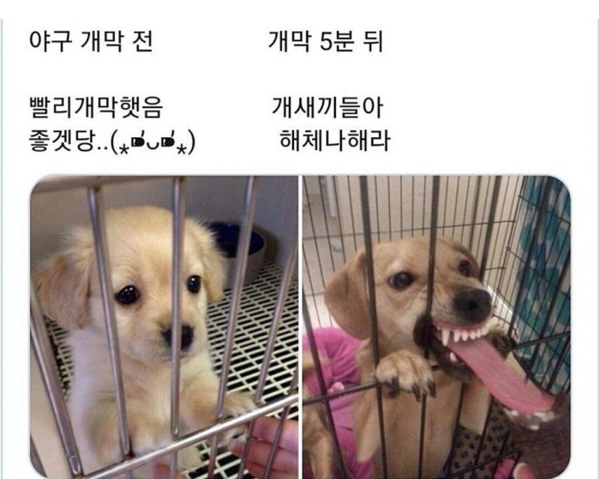 오늘 개막한 KBO팬들 근황.JPG