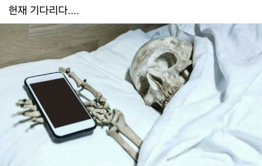 헌재 기다리다....