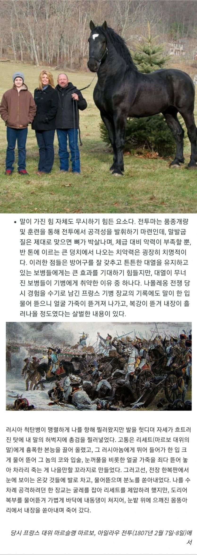 맹수에 필적하는 전투마의 포악함.