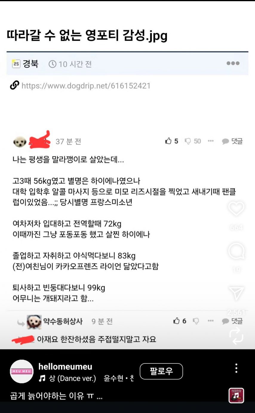 따라갈 수 없는 영포티 감성.jpg