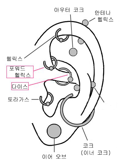 귀걸이 종류.jpg