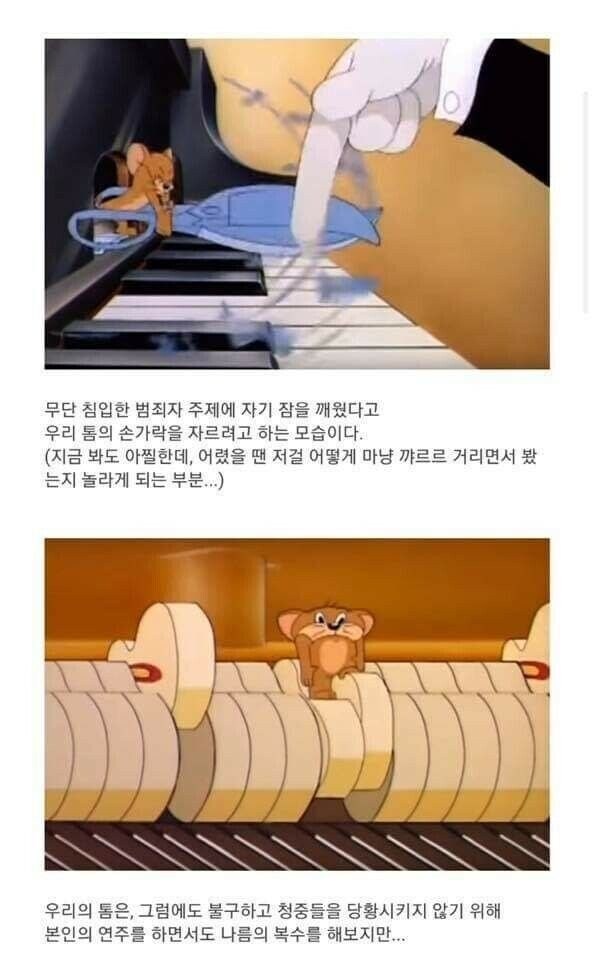 제리 인사짤의 진실