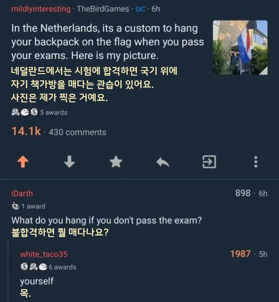 네덜란드 대학생들의 관습