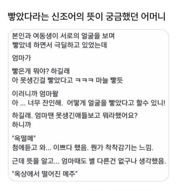 빻았다는 신조어의 뜻이 궁금했던 어머니