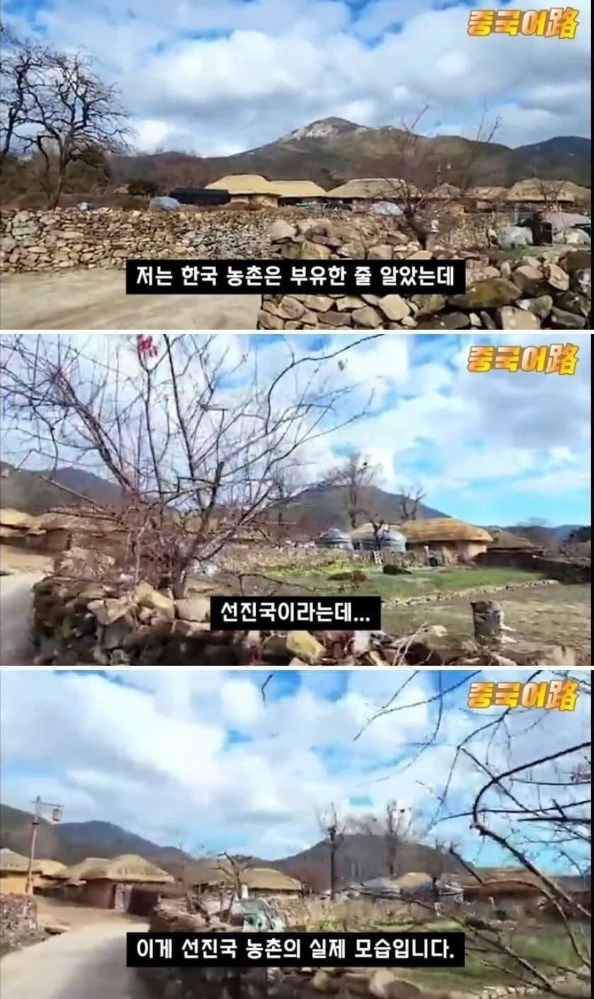 중국 국뽕 인터넷 방송인의 한국 왜곡 수준.jpg