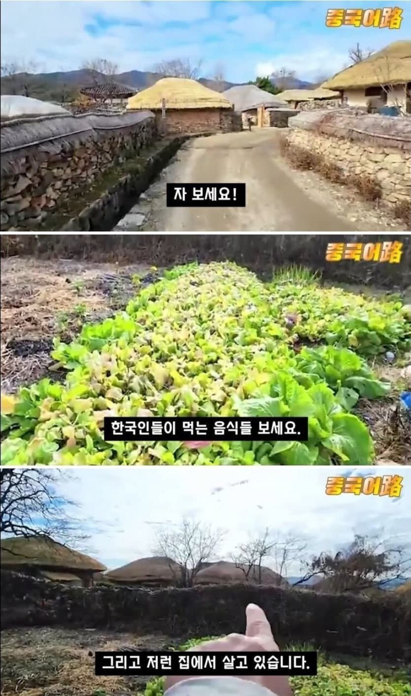 중국 국뽕 인터넷 방송인의 한국 왜곡 수준.jpg