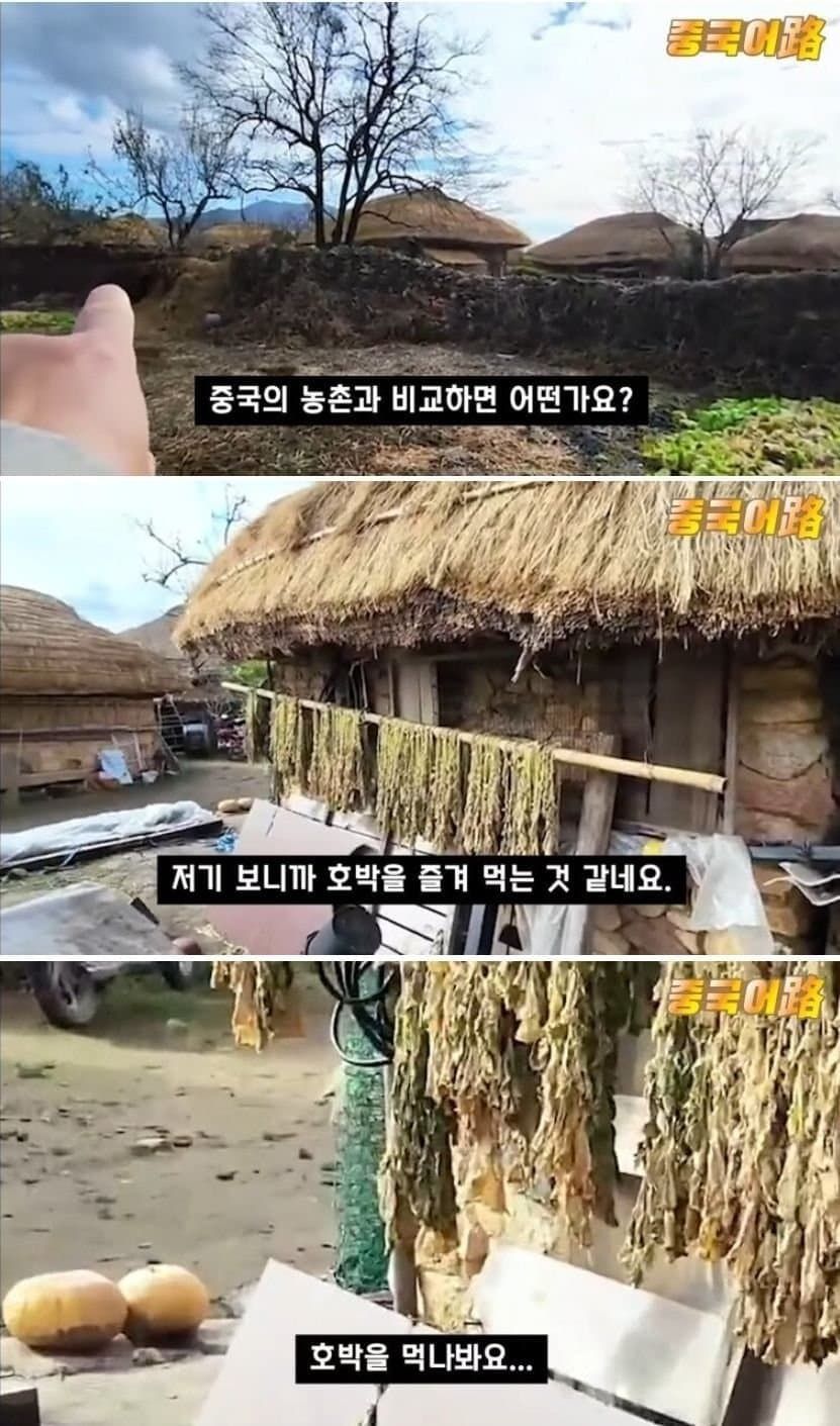 중국 국뽕 인터넷 방송인의 한국 왜곡 수준.jpg