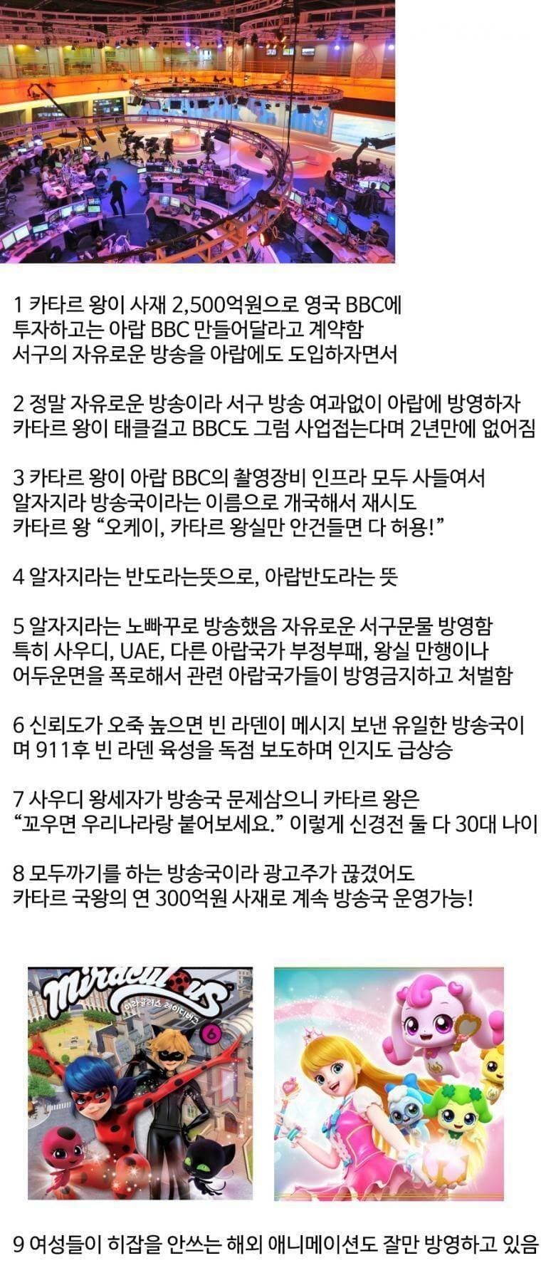 아랍에 민주주의 방송이 가능한 이유.