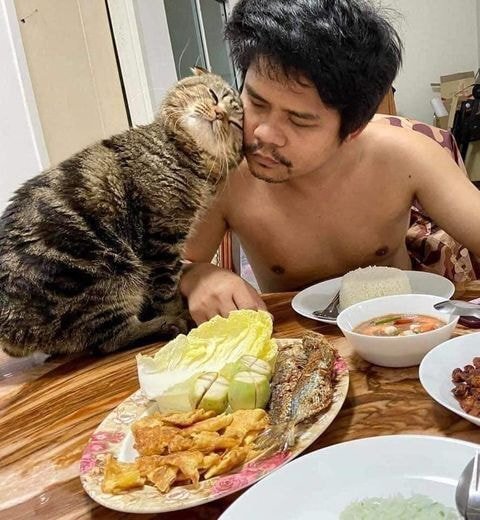 고양이에게 남편을 빼앗긴것 같다는 아내가 찍은 사진