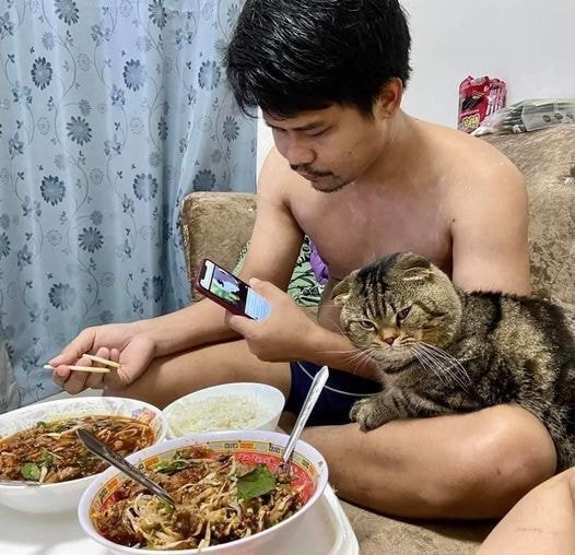 고양이에게 남편을 빼앗긴것 같다는 아내가 찍은 사진