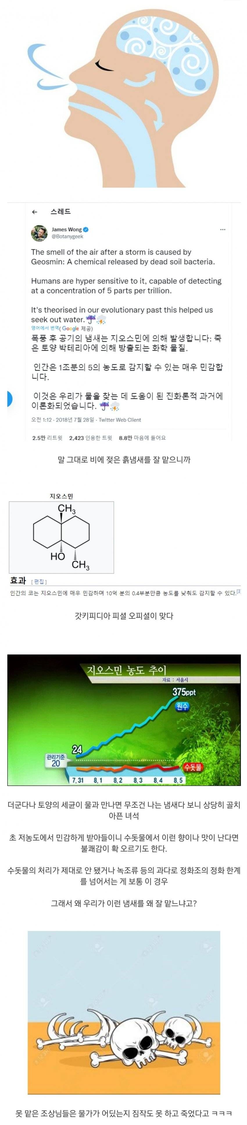 인간의 후각이 나쁘지 않은 이유.