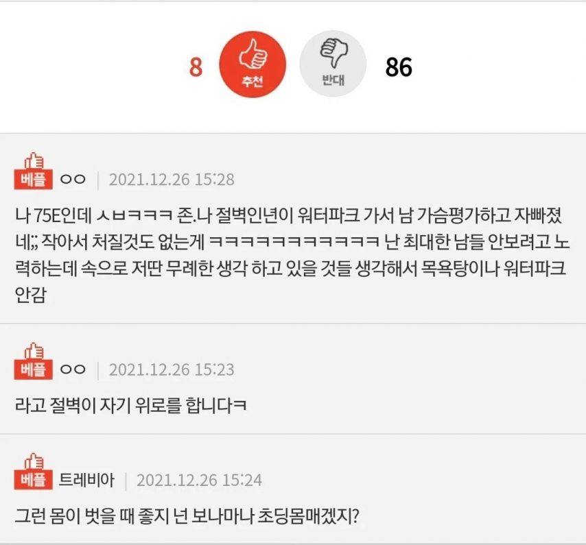 가슴큰거 1도 안부러워진 계기