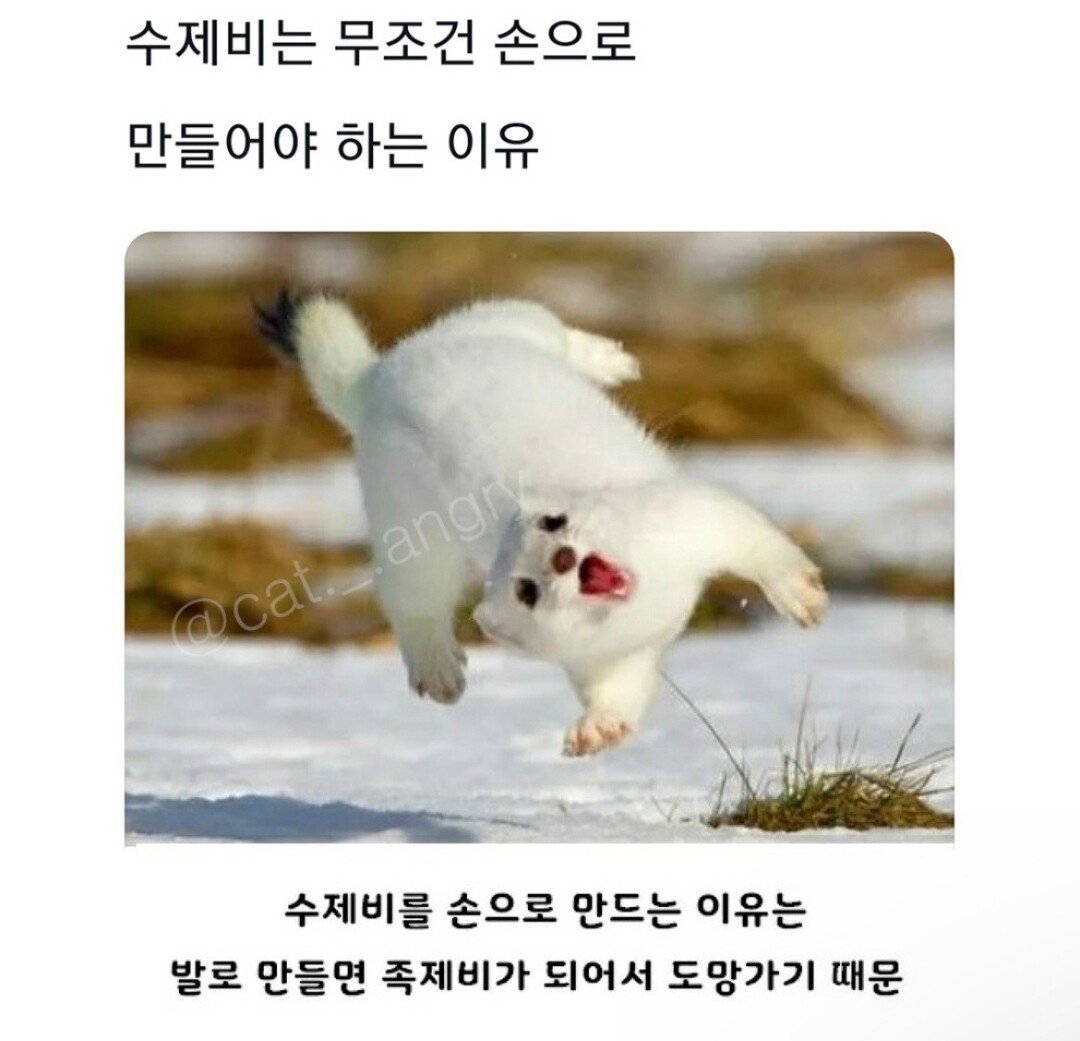 수제비는 무조건 손으로 만들어야되는 이유