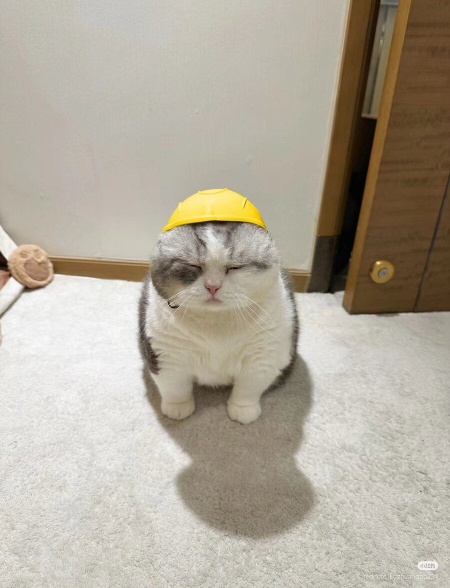 오늘 출근도 피곤했으.jpg