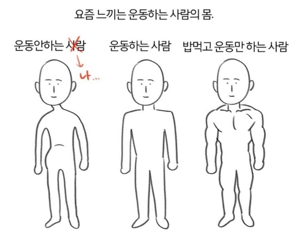 운동을 하면 알게되는 운동 전후 사람의 몸