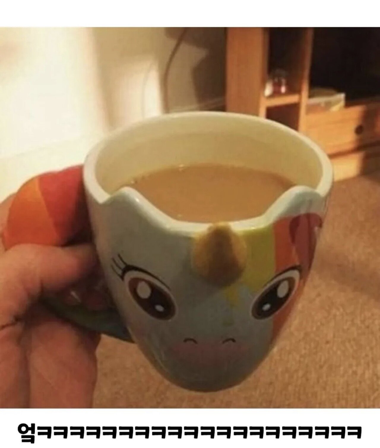 왼손잡이의 삶