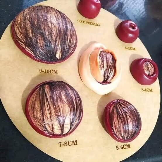 이해하면 무서운 사진