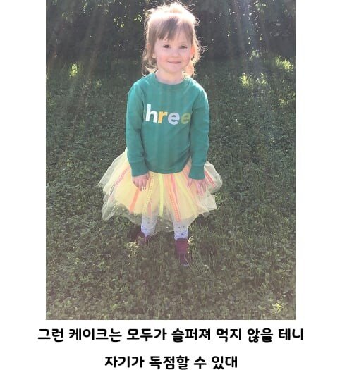 3살 조카가 원하는 케이크.jpg