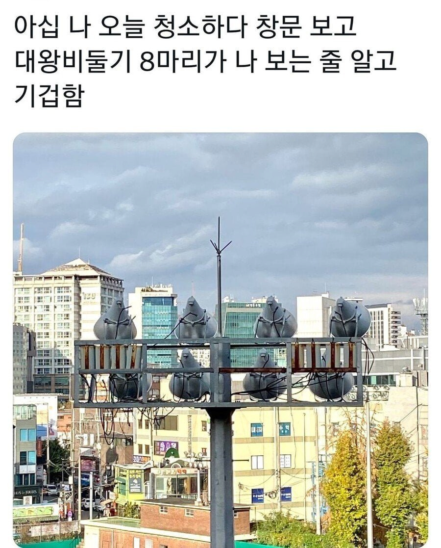 청소하다 창문보고 기절할 뻔.jpg