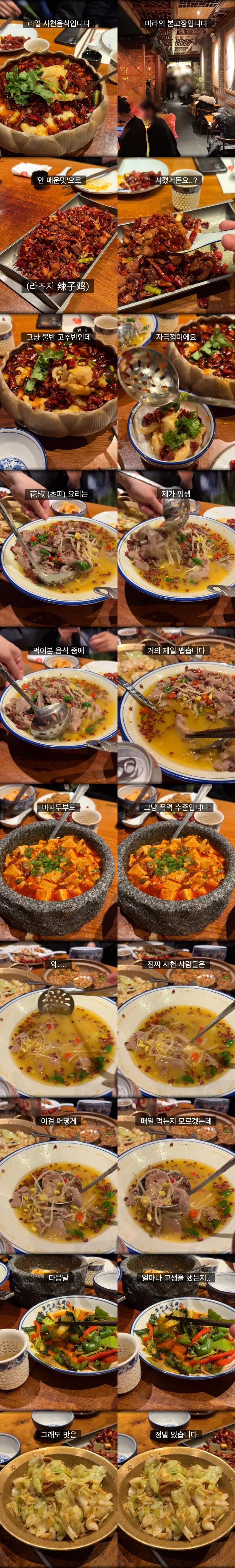 매운맛의 수준이 다르다는 중국 사천 음식ㄷㄷ