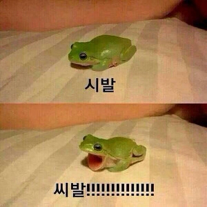 다들 주종목 뭐임