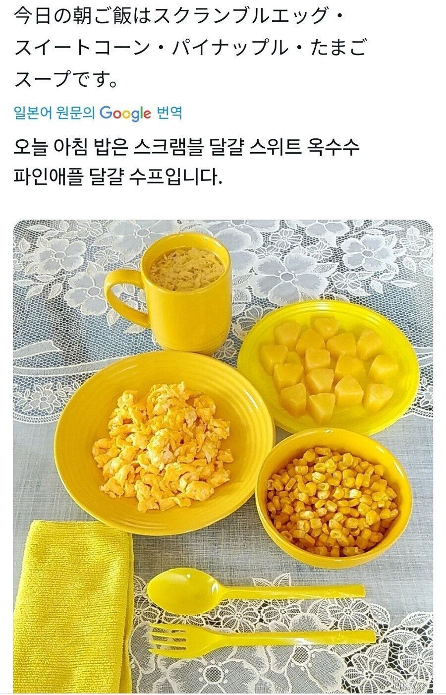 일관성있게 식사하는 꿀팁(+식단 정보)