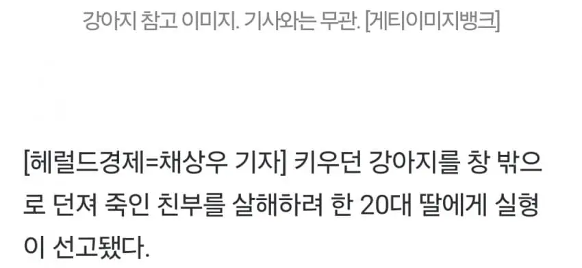강아지 던져 죽인 父 살해하려 한 20대 딸 실형
