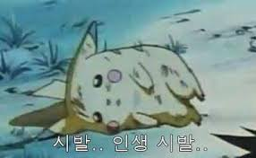 NBA 도전 후기