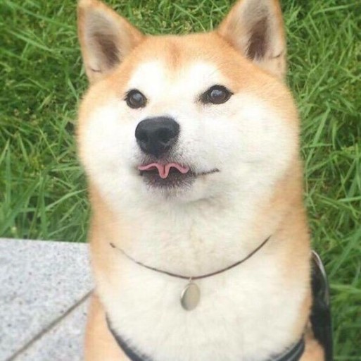 날씨 좋은데 늟어지네요;;