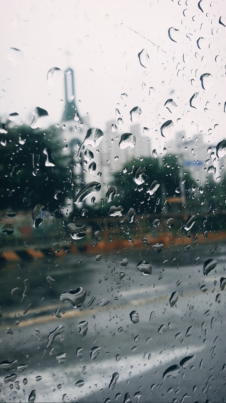오늘도 수익보세욤