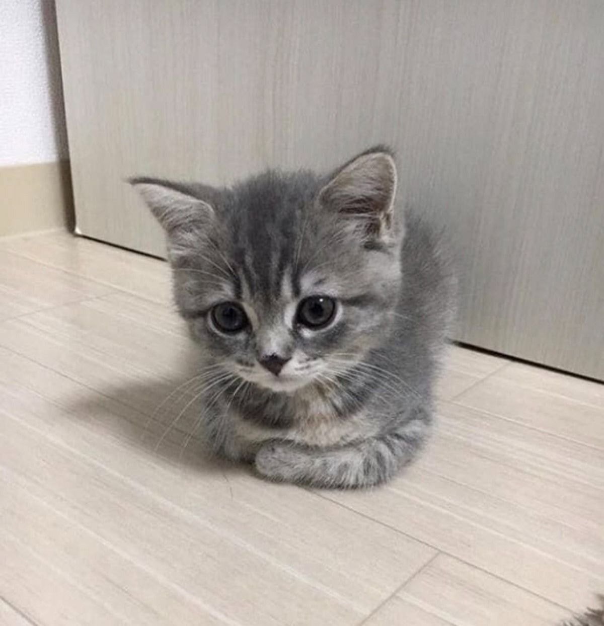 1년 사이 큰 변화