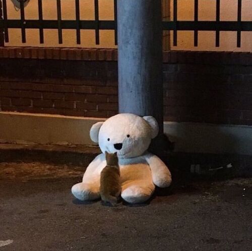 휴 겨우 배팅 마무리했네
