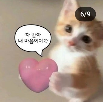 넴붕이들 바다 주세용~~