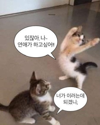 안 되겠구만 ㅜㅜ