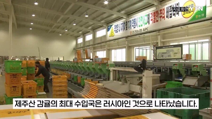 제주 감귤 농가를 진짜 살려주는 곳