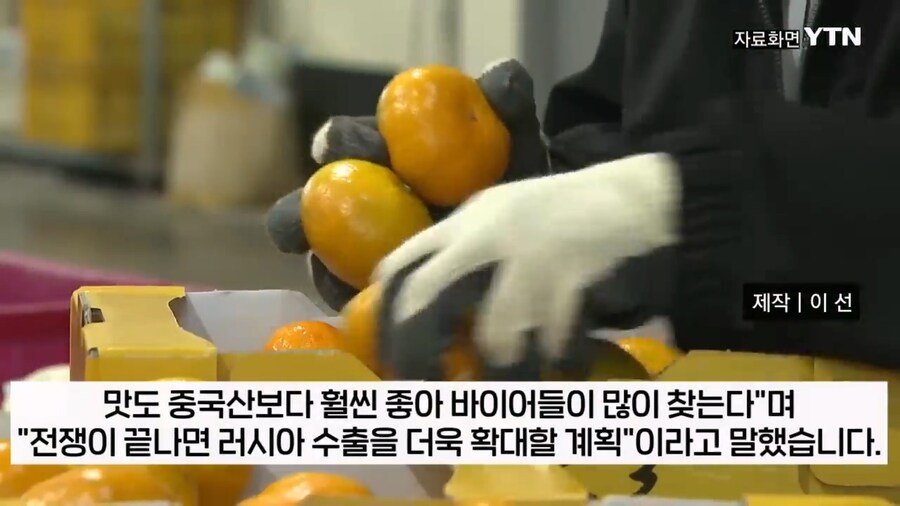 제주 감귤 농가를 진짜 살려주는 곳