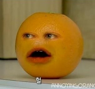 국야는 진짜 예상이 안된다