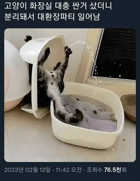 고양이 화장실 싼거 사면 안되는 이유